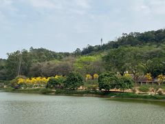 -南国桃园旅游度假区