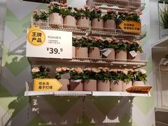 -宜家家居(西安未央商场店)