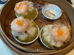 -点都德·毕德寮