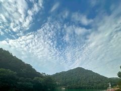 -桃花岭景区