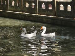 -兰亭风景区