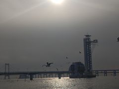 -星海蹦极娱乐