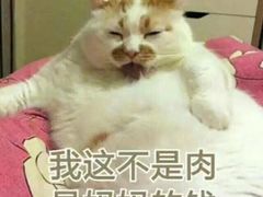 -老门框爆肚涮肉(金宝街店)
