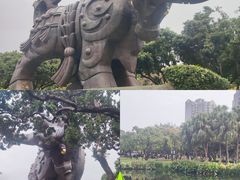 -四海公园(南山区)