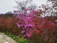 -岳西天峡风景区