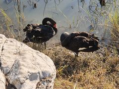 -天津东丽湖风景区