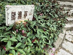 -炮台山公园