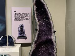 -天津自然博物馆