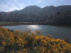 -广州市石门国家森林公园