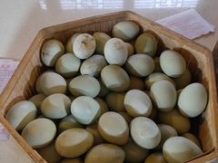 -洪湖家庭农场·团建·露营·会议