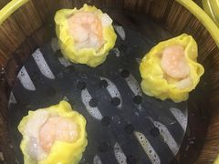 鲜虾烧卖-肥佬夜茶(早茶·西乡店)