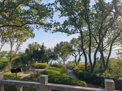 -上海市保健医疗中心