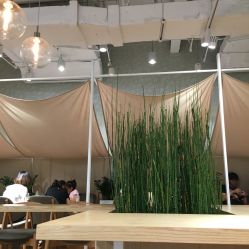 -悦诗风吟innisfree