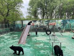 -西安秦岭野生动物园