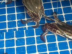 -从前慢海鲜面馆