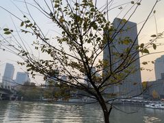 -运河游船(武林门码头)