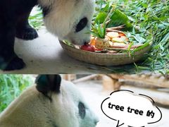 -杭州野生动物世界