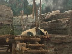 -鄂尔多斯野生动物园