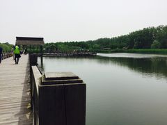 -溱湖国家湿地公园