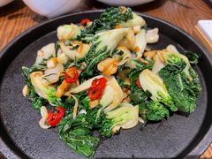 焗锅气奶白菜-小大董·烤鸭(五棵松店)