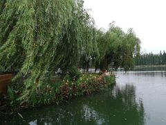 -圩墩遗址公园
