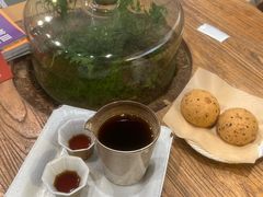 -自由生长植物工作室(深港花卉中心店)