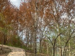 -玉渡山自然风景区