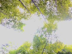 -苏州环秀晓筑养生度假村
