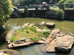 -南昌动物园