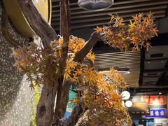 -鲜潭蒸汽石锅鱼(五道口购物中心店)