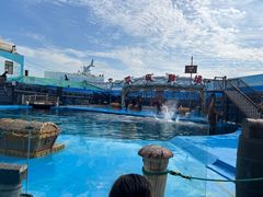 -海合安青岛极地海洋公园