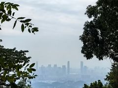 -火炉山森林公园