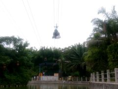 -广东茂名森林公园