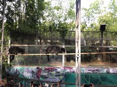 -清迈夜间动物园