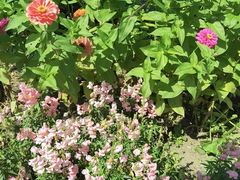 -长春公园(普阳街道)