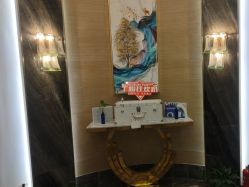 -雅曼妮spa美容养生