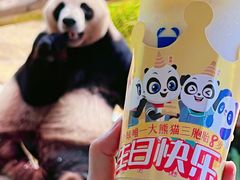 -广州长隆野生动物世界