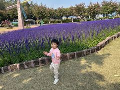 -广州莲花山旅游区