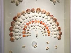 -青岛贝壳博物馆