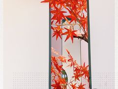 -望湘园·洞庭渔宴(永旺店)