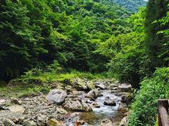 -西岭雪山大飞水景区