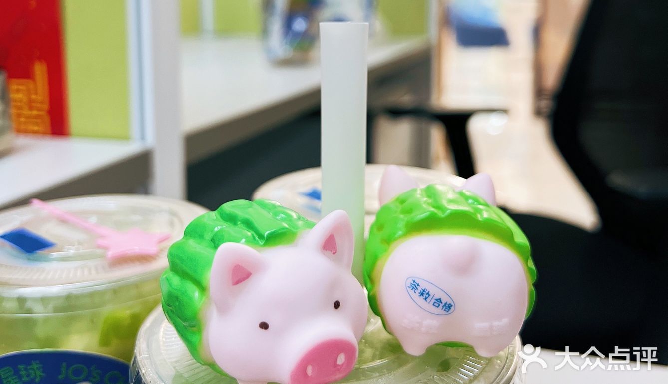 🦆可爱的鸭子看多了|🐷可爱的猪猪见过吗!?