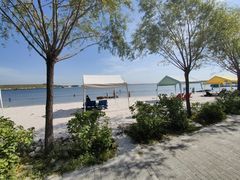 -呼兰河口湿地公园