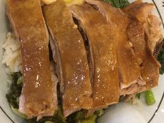 -狮头牌卤味研究所·卤味饭(花城汇南区店)