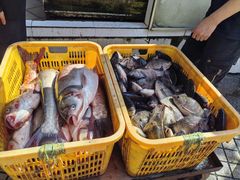 -西双版纳集贸市场
