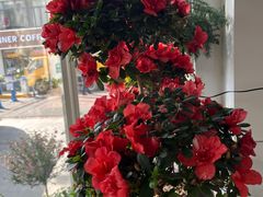 -FEI FEI FLOWER鲜花店·气球派对·宝宝宴布置(虹口德必运动Loft店)