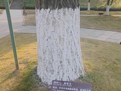 -邓小平故里