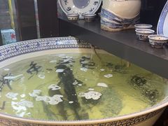 -南京金牛湖巨碗鱼头