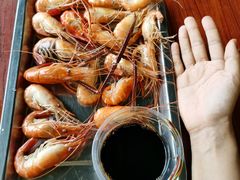 -会江钓鱼钓虾烧烤场