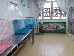 -派特宠物医院(圆融广场店)